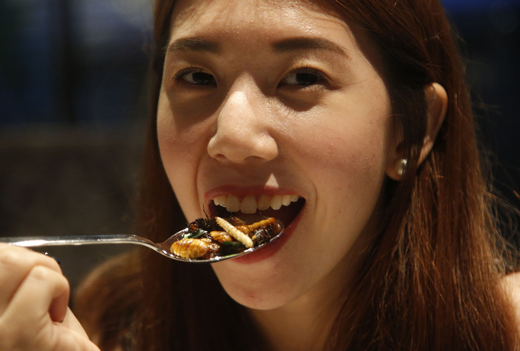Thailand Bistro of Bugs